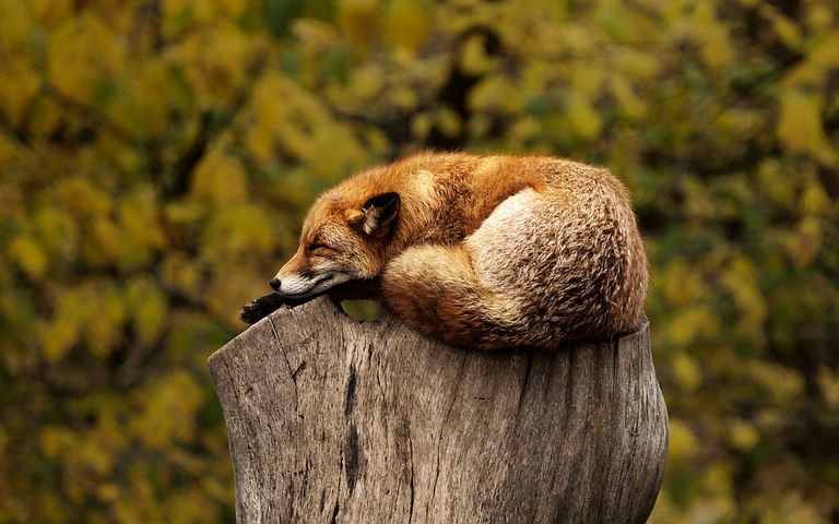 J'ai eu envie de ne rien faire … Est-ce grave ?