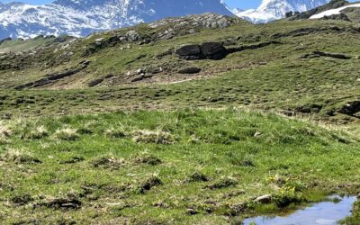 Je suis censé être en vacances … mais ce n'est pas si simple