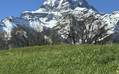 Pourquoi cette qualité est essentielle ?